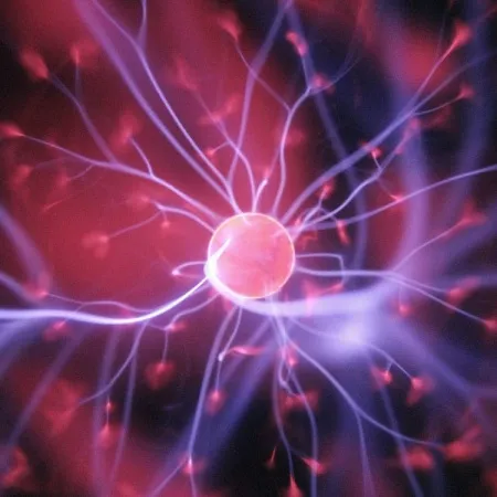 Book Your Epilepsy Awareness Course here.